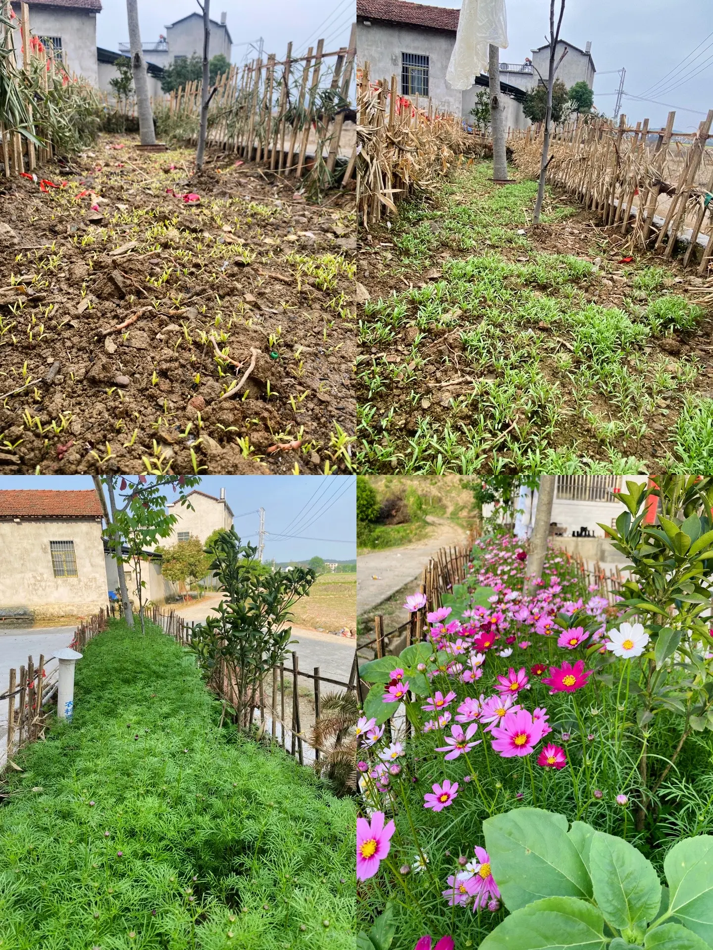 115d050449654a12a7dd29cb340c0058~tplv-dy-aweme-images-v2_3000_3000_q75