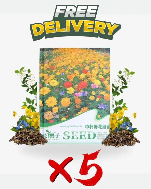 Get-5-pieces-for-the-price-of-1-600x750