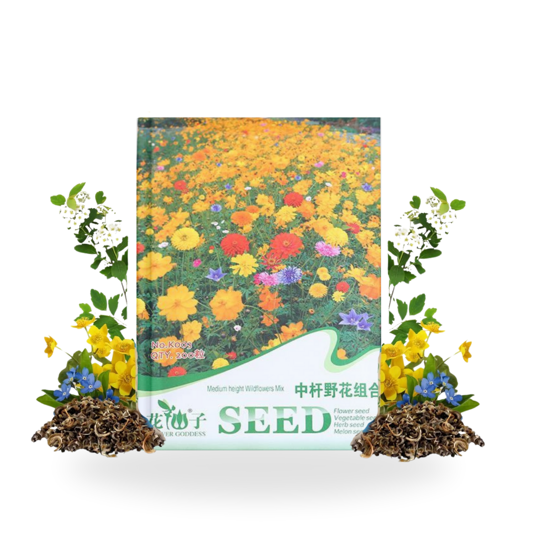 Publication Instagram Promotion de produit Moderne Vert et Blanc (5)