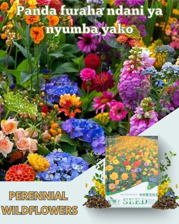 photo_5_2024-08-12_10-36-57-600x751